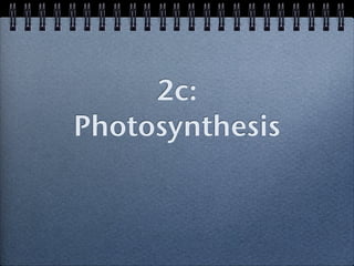 2c:
Photosynthesis
 