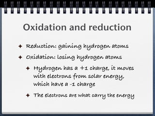 Oxidation and reduction
Reduction: gaining hydrogen atoms
Oxidation: losing hydrogen atoms
  Hydrogen has a +1 charge, it moves
  with electrons from solar energy,
  which have a -1 charge
  The electrons are what carry the energy
 