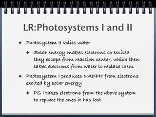 LR:Photosystems I and II
Photosystem II splits water
   Solar energy makes electrons so excited
   they escape from reaction center, which then
   takes electrons from water to replace them
Photosystem I produces NADPH from electrons
excited by solar energy
   PS I takes electrons from the above system
   to replace the ones it has lost
 