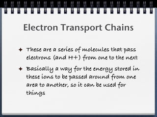 Electron Transport Chains

These are a series of molecules that pass
electrons (and H+) from one to the next
Basically a way for the energy stored in
these ions to be passed around from one
area to another, so it can be used for
things
 