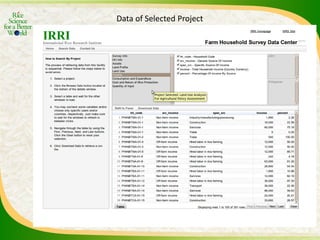 Experience and lessons of the Rice Information Portal in Asia – bringing information to farmers and influencing policies