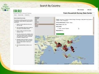 Experience and lessons of the Rice Information Portal in Asia – bringing information to farmers and influencing policies