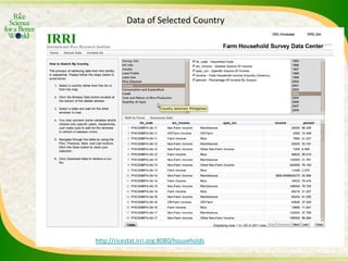 Experience and lessons of the Rice Information Portal in Asia – bringing information to farmers and influencing policies