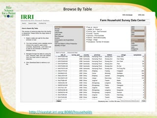 Experience and lessons of the Rice Information Portal in Asia – bringing information to farmers and influencing policies
