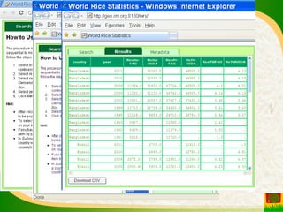 Experience and lessons of the Rice Information Portal in Asia – bringing information to farmers and influencing policies