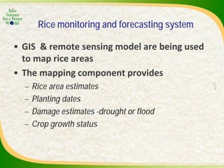 Experience and lessons of the Rice Information Portal in Asia – bringing information to farmers and influencing policies