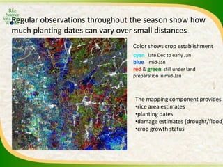 Experience and lessons of the Rice Information Portal in Asia – bringing information to farmers and influencing policies