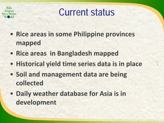 Experience and lessons of the Rice Information Portal in Asia – bringing information to farmers and influencing policies