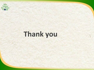 Experience and lessons of the Rice Information Portal in Asia – bringing information to farmers and influencing policies