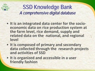 Experience and lessons of the Rice Information Portal in Asia – bringing information to farmers and influencing policies