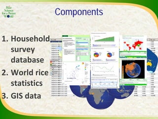Experience and lessons of the Rice Information Portal in Asia – bringing information to farmers and influencing policies