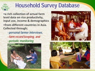 Experience and lessons of the Rice Information Portal in Asia – bringing information to farmers and influencing policies