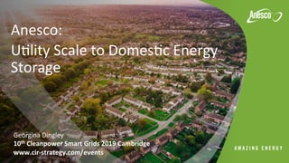 Anesco:		
U*lity	Scale	to	Domes*c	Energy	
Storage	
Georgina	Dingley		
10th	Cleanpower	Smart	Grids	2019	Cambridge	
www.cir-strategy.com/events	
 