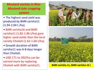 Oilseed crops in rice-based farming systems in southern Bangladesh