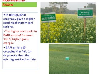 Oilseed crops in rice-based farming systems in southern Bangladesh