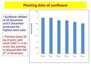 Oilseed crops in rice-based farming systems in southern Bangladesh