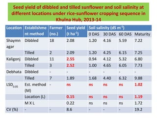 Oilseed crops in rice-based farming systems in southern Bangladesh