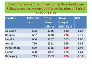 Oilseed crops in rice-based farming systems in southern Bangladesh