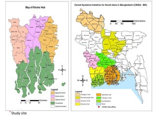 Oilseed crops in rice-based farming systems in southern Bangladesh