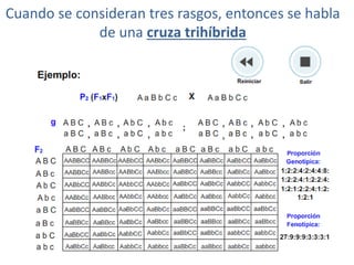 Cuando se consideran tres rasgos, entonces se habla
             de una cruza trihíbrida
 