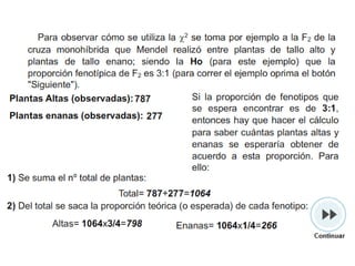 Cruza dihíbrida trihíbrida-alelosmúltiples-m-bifurcado