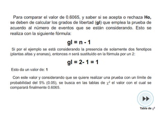 Cruza dihíbrida trihíbrida-alelosmúltiples-m-bifurcado