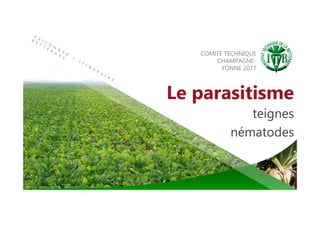Le parasitisme
teignes
nématodes
COMITE TECHNIQUE
CHAMPAGNE-
YONNE 2017
 