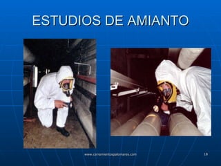 ESTUDIOS DE AMIANTO 