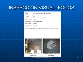 INSPECCIÓN VISUAL- FOCOS 