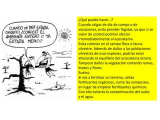 ¿Qué puedo hacer...?
Cuando salgas de día de campo o de
vacaciones, evita prender fogatas, ya que si se
salen de control podrían afectar
irremediablemente al ecosistema.
Evita colectar en el campo flora o fauna
silvestre. Además de dañar a las poblaciones
silvestres de esas especies, podrías estar
alterando el equilibrio del ecosistema entero.
Tampoco dañes la vegetación cortando ramas,
brotes y flores.
Suelos:
Si vas a fertilizar un terreno, utiliza
fertilizantes orgánicos, como las compostas,
en lugar de emplear fertilizantes químicos.
Con ello evitarás la contaminación del suelo
y el agua.
 