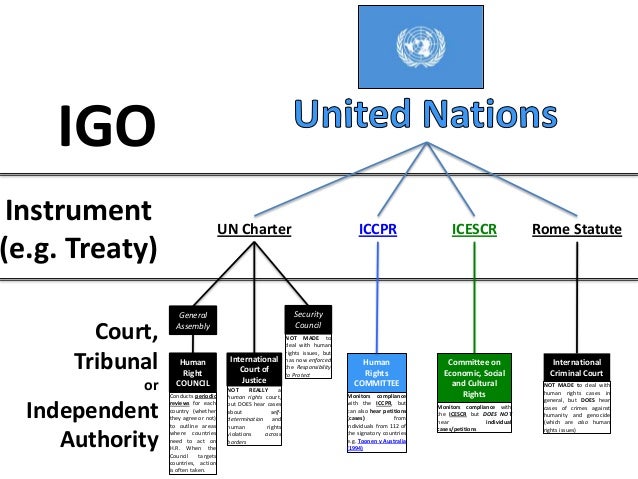 HUMAN RIGHTS - IGOs, Courts, Authorities, Tribunals, etc