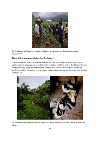 16 
 
   
Der Anbau und die Pflege von Kopfkohl sind unter den klimatischen Bedingungen relativ 
anspruchsvoll. 
29.und 30.6. Ursprung von Njinikom (aus den Notizen) 
Es war mir möglich, sowohl an einem Erscheinen der örtlichen Maskentänzer als auch an einer 
traditionellen Beerdigungszeremonie teilzunehmen. Fabian Ful führte mich zu den ältesten Häusern 
von Njinikom und zeigte mir die kultischen, zeremoniellen Gerätschaften, die dort aufbewahrt 
werden. Er erklärte mir, dass er in einem dieser Häuser geboren wurde und dort auch seine Kindheit 
verbracht hat. 
 
Die ältesten Häuser von Njinikom und einige alte Gerätschaften für kultische Zwecke in einem der 
Häuser 
 