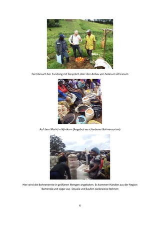 6 
 
 
Farmbesuch bei  Fundong mit Gespräch über den Anbau von Solanum africanum 
 
Auf dem Markt in Njinikom (Angebot verschiedener Bohnensorten)  
 
Hier wird die Bohnenernte in größeren Mengen angeboten. Es kommen Händler aus der Region 
Bamenda und sogar aus  Douala und kaufen säckeweise Bohnen 
 