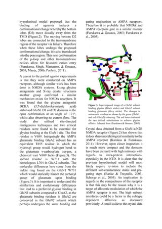 NMDA Receptor Physiological Activators and Inhibitors A Three-fold ...