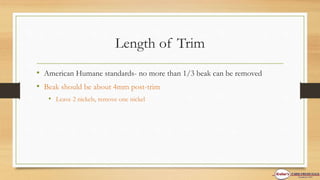 Length of Trim
• American Humane standards- no more than 1/3 beak can be removed
• Beak should be about 4mm post-trim
• Leave 2 nickels, remove one nickel
 