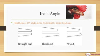 Beak Angle
• Hold beak at 15 angle above horizontal to create block cut
 