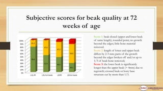 Subjective scores for beak quality at 72
weeks of age
Score 1: beak closed (upper and lower beak
of same length); rounded point; no growth
beyond the edges; little bone material
removed.
Score 2: length of lower and upper beak
differs by 2-3 mm; parts of the growth
beyond the edges broken off and/or up to
1/3 of beak bone removed;
Score 3: the lower beak is significantly
longer than the upper beak (> 4mm) due to
regrowth; crossed beak or bony base
structure cut by more than 1/3.
 