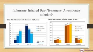 Lohmann- Infrared Beak Treatment- A temporary
solution?
 