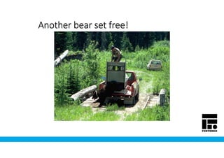 Another bear set free!Another bear set free!Another bear set free!Another bear set free!
 