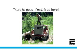 There he goesThere he goesThere he goesThere he goes ---- I’m safe up here!I’m safe up here!I’m safe up here!I’m safe up here!
 