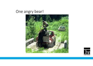 One angry bear!
 