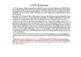 ປາກໃບ ຫຼື Stomata
• ປາກໃບ ຫຼື stomata ຄືຢູ່ລະຫວ່າງເຊລປົກຄຸມ ຫຼື ຈຸລັງປົກຄຸມດ້ານນອກຂອງໃບ ຫຼື guard cell ທີ່ມີໜ້າທີ່ຄວບ
ຄຸມການປິດເປີດຂອງປາກໃບ ມີໜ້າທີ່ ເປັນທາງເຂົ້າ ອອກຂອງນໍ້າ ແລະອາກາດ ຊື່ງປາກໃບສ່ວນໃຫ່ຽຈະຢູ່ສ່ວນ
ລຸ່ມຂອງຜິວໃບ ສະນັ້ນການສັງເຄາະແສງຂອງພືດນັ້ນ ຈະດໍາເນີນໄປໄດ້ດີ ກໍຕໍ່ເມື່ອ ຂະນະທີ່ມີແສງແດດຫຼາຍ
ຊື່ງເປັນກົນໄກທໍາມະຊາດທີ່ປາກໃບພືດ ຈະຕ້ອງຢູ່ດ້ານລຸ່ມຂອງໃບ ເພື່ອຫຼີກລ້ຽງການສູນເສັຽນໍ້າອອກຈາກທາງ
ປາກໃບນັ້ນເອງ.
• ສັງເກດຜີວໃບດ້ານເທີງຂອງໃບພືດຈະມີສີຂຽວເຂັ້ມກວ່າດ້ານລຸ່ມ ນັ້ນກໍ່ເນື່ອງຈະວ່າ ຢູດ້ານເທີ່ງຂອງຜີວະໃບຈະ
ມີ ກໍຼໂລຟີນ ຫຼາຍກ່າວດ້ານລຸ່ມ. ນັ້ນສະແດງໃຫ້ເຫັນວ່າ ກໍຼໂລຟີນ ດ້ານເທີງຜິວໃບມີໜ້າທີ່ສັງເຄາະແສງເປັນຫຼັກ
ແລະສັງເກດວ່າຈະມີໄຂມັນເຄືອບຜິວໃບເບື້ອງເທີງ ເພື່ອລົດຜ່ອນການລະເຫີຍຂອງນໍ້າອອກທາງປາກໃບ.
• ເນື່ອງຈາກວ່າໄຂມັນເຄືອບໃບ ເຮັດໃຫ້ມີການສູນເສັຽອາຍນໍ້າຍາກ; ການຄາຍນໍ້າຂອງພືດແມ່ນອອກຈາກໃບ ບໍ່
ແມ່ນອອກຈາກຈຸລັງ. ສາຍເຫດທີ່ປາກໃບຢູ່ດ້ານລຸ່ມເນື່ອງມາຈາກດ້ານເທີງຂອງໃບເປັນທີ່ຢູ່ຂອງ Palisade cell
ຊື່ງອັດຕົວກັນແໜ້ນເພື່ອໃຊ້ປະໂຫຽດໃນການສັງເຄາະແສງ ສ່ວນດ້ານລຸ່ມຈະເປັນທີ່ຢູ່ຂອງ Sponge cell ທີ່ເກາະ
ກັນຢູ່ແບບຫຼົມໆ ເພື່ອໃຫ້ອາກາດ ແລະ ຄາບອນ ໄດອ໊ອກໄຊ (CO2) ສາມາດຜ່ານເຂົ້າສູ່Palisade cell ໄດ້ງ່າຍ
ປາກໃບ ຈໍາເປັນຈະຕ້ອງຢູ່ດ້ານລຸ່ມຂອງໃບ ແລະການປິດເປີດຂອງປາກໃບແມ່ນຂື້ນຢູ່ກັບການສ້າງອາຫານຂອງ
ພືດ ໃນຂະນະອາຫານໜ້ອຍ ນໍ້າໃນຈຸລັງຄຸມ epidermis ຈະຫຼາຍຈຸລັງຄຸມ ຈະຕຶງ ແລະເຮັດໃຫ້ປາກເປີດ ເມື່ອ
ການສ້າງອາຫານຫຼາຍຂື້ນ ຄວາມເຂັ້ມຂົ້ນຂອງສານອາຫານລະລາຍໃນຈຸລັງຄຸມຫຼາຍຂື້ນ ຈຸລັງຄຸມຫ່ຽວລົງ ແລະ
ປາກໃບຈະປິດນັ້ນເອງ.
• ນອກຈາກນີ້ ພືດທີ່ໃບຕີດກັບນໍ້າ ຫຼື ໜ້ານໍ້າ ຈະພົບວ່າປາກໃບຢູ່ເບື້ອງເທີງເພື່ອຮັບອາກາດ ສ່ວນພືດທີ່ຢູ່ໃຕ້ນໍ້າ
ຈະບໍ່ພົບວ່າມີປາກອາກາດ ແຕ່ອາກາດຈະຜ່ານແພຈຸລັງເລີຍ ເພາະຈະບໍ່ມີໄຂມັນເຄືອບຜີວໜ້າໃບຄືກັບພືດທີ່ຢູ່
ບົກ.
• ຫາກມີການຫົດນໍ້າ ເວລາທ່ຽງວັນ ແຊກໆ (ແດດກ້າ) ນໍ້າໃນດີນຈະລະເຫີຍຢ່າງວ່ອງໄວ ດ້ວຍແຮງ cohesion
ຂອງນໍ້າ-ນໍ້າຈາກໃຕ້ດີນຈະຖືກດືງຂື້ນມາ ແລະລະເຫີຍໄປຢ່າງວ່ອງໄວ ແລະທໍາລາຍລະບົບດູດນໍ້າຂອງພືດ ພືດ
ຈື່ງຂາດນໍ້າ ຖ້າຫົດນໍ້າ ທ່ຽງວັນແຊກ ໆ (ແດດກ້າ) ສະນັ້ນຖ້າ ຫົດນໍ້າທ່ຽງວັນ ແຊກ ໆ (ແດດກ້າ ) ຕ້ອງຫົວໃຫ້
ຫຼາຍ ເພີ້ມຫຼາຍເທົ່າຕົວ.
 