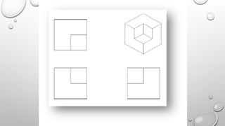 2Dimensional vs 3Dimensional Projection.pptx