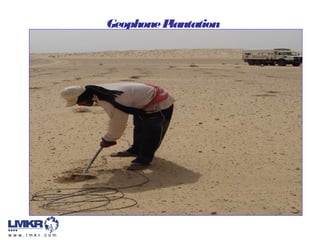 GeophonePlantation
 