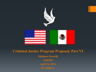 Criminal Justice Program Proposal, Part VI
Matthew Porcelli
AJS/595
April 14, 2014
Dr. Roberts
 
