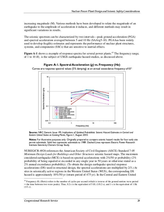 essay of book review report