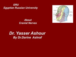 ERU
Egyptian Russian University
About
Cranial Nerves
Dr. Yasser Ashour
By Dr.Darine Ashraf
 