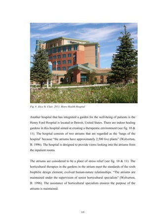   27	
   	
  
Fig. 9. Alice St. Clair. 2013. Metro Health Hospital
Another hospital that has integrated a garden for the well-being of patients is the
Henry Ford Hospital is located in Detroit, United States. There are indoor healing
gardens in this hospital aimed at creating a therapeutic environment (see fig. 10 &
11). The hospital consists of two atriums that are regarded as the ‘lungs of the
hospital’ because “the atriums have approximately 2,500 live plants” (Wolverton,
B. 1996). The hospital is designed to provide views looking into the atriums from
the inpatient rooms.
The atriums are considered to be a place of stress relief (see fig. 10 & 11). The
horticultural therapies in the gardens in the atrium meet the standards of the sixth
biophilic design element; evolved human-nature relationships. “The atriums are
maintained under the supervision of senior horticultural specialists” (Wolverton,
B. 1996). The assistance of horticultural specialists ensures the purpose of the
atriums is maintained.
 