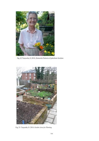   54	
   	
  
Fig.	
  22	
  Tasyurdu,	
  O.	
  2014.	
  Dementia	
  Patient	
  at	
  Sydenham	
  Gardens	
  
Fig. 23. Tasyurdu, O. 2014. Garden Area for Planting
	
  
 