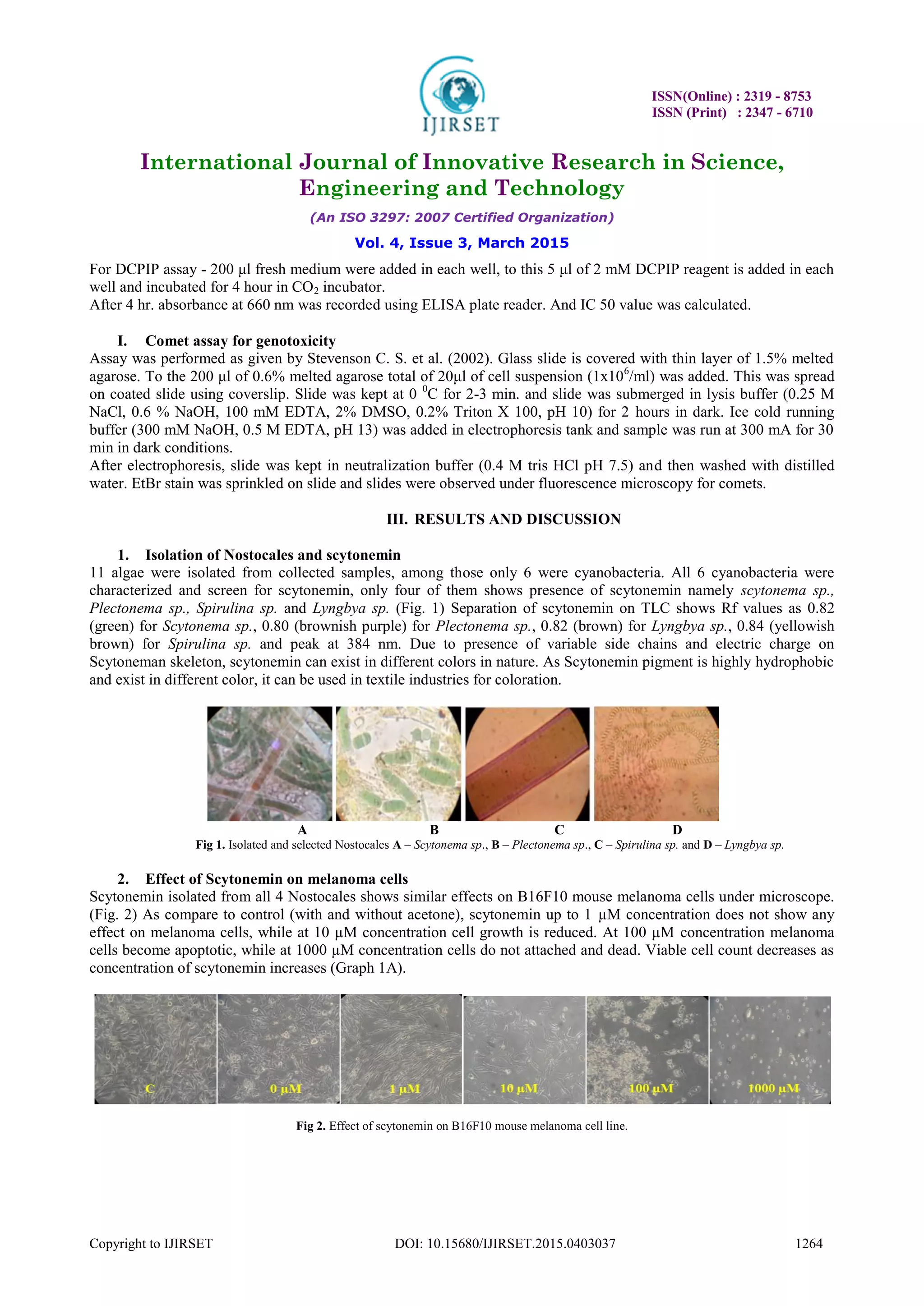 ISSN(Online) : 2319 - 8753
ISSN (Print) : 2347 - 6710
International Journal of Innovative Research in Science,
Engineering and Technology
(An ISO 3297: 2007 Certified Organization)
Vol. 4, Issue 3, March 2015
Copyright to IJIRSET DOI: 10.15680/IJIRSET.2015.0403037 1264
For DCPIP assay - 200 μl fresh medium were added in each well, to this 5 μl of 2 mM DCPIP reagent is added in each
well and incubated for 4 hour in CO2 incubator.
After 4 hr. absorbance at 660 nm was recorded using ELISA plate reader. And IC 50 value was calculated.
I. Comet assay for genotoxicity
Assay was performed as given by Stevenson C. S. et al. (2002). Glass slide is covered with thin layer of 1.5% melted
agarose. To the 200 μl of 0.6% melted agarose total of 20μl of cell suspension (1x106
/ml) was added. This was spread
on coated slide using coverslip. Slide was kept at 0 0
C for 2-3 min. and slide was submerged in lysis buffer (0.25 M
NaCl, 0.6 % NaOH, 100 mM EDTA, 2% DMSO, 0.2% Triton X 100, pH 10) for 2 hours in dark. Ice cold running
buffer (300 mM NaOH, 0.5 M EDTA, pH 13) was added in electrophoresis tank and sample was run at 300 mA for 30
min in dark conditions.
After electrophoresis, slide was kept in neutralization buffer (0.4 M tris HCl pH 7.5) and then washed with distilled
water. EtBr stain was sprinkled on slide and slides were observed under fluorescence microscopy for comets.
III. RESULTS AND DISCUSSION
1. Isolation of Nostocales and scytonemin
11 algae were isolated from collected samples, among those only 6 were cyanobacteria. All 6 cyanobacteria were
characterized and screen for scytonemin, only four of them shows presence of scytonemin namely scytonema sp.,
Plectonema sp., Spirulina sp. and Lyngbya sp. (Fig. 1) Separation of scytonemin on TLC shows Rf values as 0.82
(green) for Scytonema sp., 0.80 (brownish purple) for Plectonema sp., 0.82 (brown) for Lyngbya sp., 0.84 (yellowish
brown) for Spirulina sp. and peak at 384 nm. Due to presence of variable side chains and electric charge on
Scytoneman skeleton, scytonemin can exist in different colors in nature. As Scytonemin pigment is highly hydrophobic
and exist in different color, it can be used in textile industries for coloration.
A B C D
Fig 1. Isolated and selected Nostocales A – Scytonema sp., B – Plectonema sp., C – Spirulina sp. and D – Lyngbya sp.
2. Effect of Scytonemin on melanoma cells
Scytonemin isolated from all 4 Nostocales shows similar effects on B16F10 mouse melanoma cells under microscope.
(Fig. 2) As compare to control (with and without acetone), scytonemin up to 1 µM concentration does not show any
effect on melanoma cells, while at 10 µM concentration cell growth is reduced. At 100 µM concentration melanoma
cells become apoptotic, while at 1000 µM concentration cells do not attached and dead. Viable cell count decreases as
concentration of scytonemin increases (Graph 1A).
Fig 2. Effect of scytonemin on B16F10 mouse melanoma cell line.
 